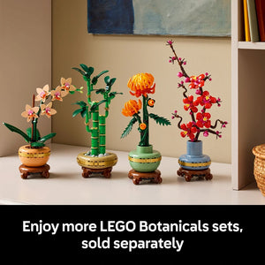 LEGO Mini Orchid buildable plant set 10343 displayed with three other colorful LEGO botanical sets in decorative pots with wooden stands on a white surface against a beige wall