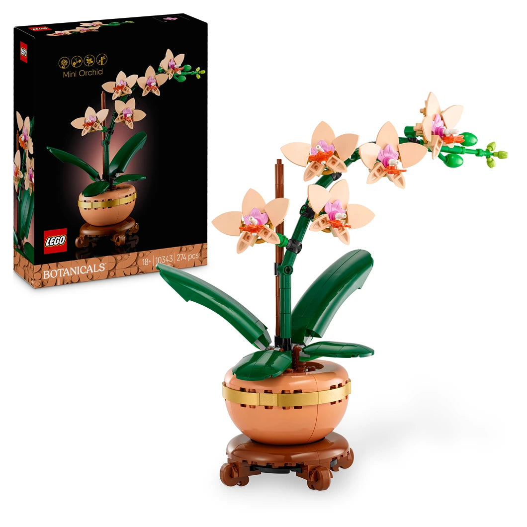 LEGO Botanicals Mini Orchid 10343 set featuring cream and pink buildable flowers with green leaves in a tan terracotta pot with decorative base, displayed next to black product packaging box