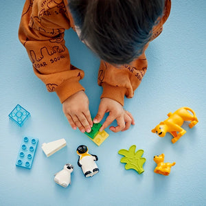 Child's hands playing with LEGO Wild Animal Families set on blue background, featuring orange and yellow lion figures, penguin pieces, green plant element, and blue building blocks against light blue surface