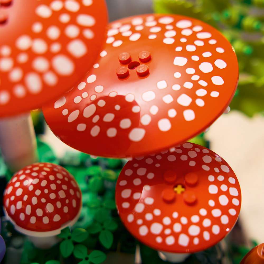 LEGO Botanicals Woodland Mushrooms 11505 - close-up detail of the finished build. 806 pieces. Ages 18+.