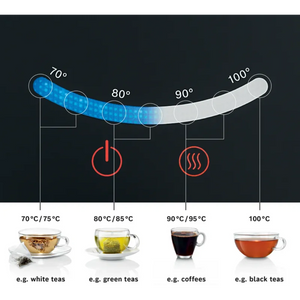 Ex-Display Bosch Sky Variable Temperature Jug Kettle - Black | TWK7203GB