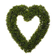Green boxwood heart-shaped topiary wreath 40cm with dense foliage on white background