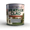 Exterior Paint