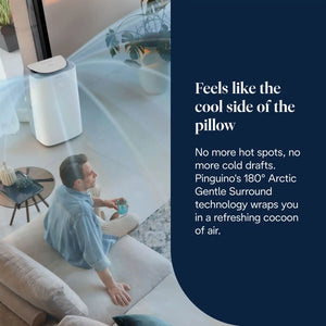 Delonghi Pinguino GentleJet Inverter Portable Air Conditioner 13000 BTU - White | AP130i