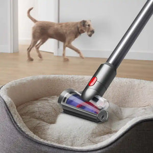 Dyson V8 Absolute cordless stick vacuum with motorized cleaner head cleaning a light beige pet bed, with a brown dog visible in the background on wooden flooring