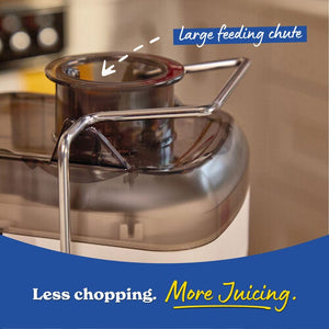 Russell Hobbs Juicer - Stone | 28770