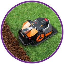 Robotic lawn mower on a grassy area with a purple border