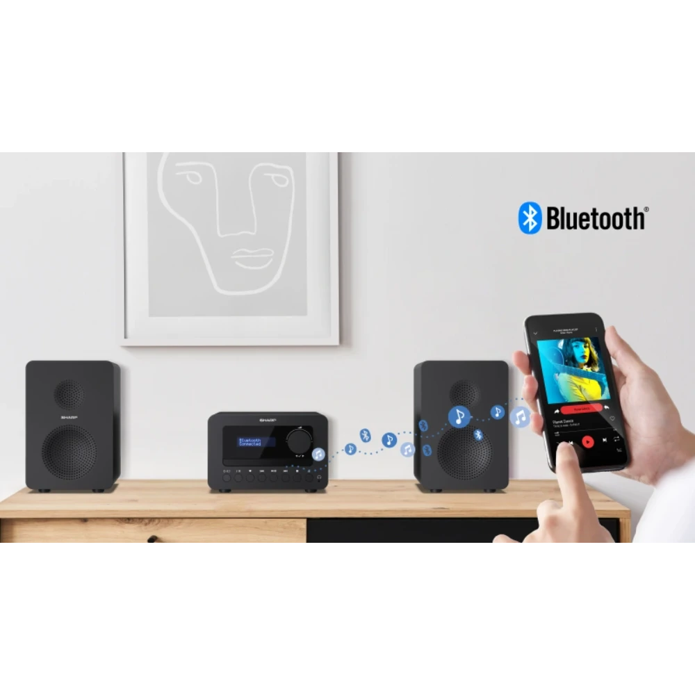 Sharp Tokyo FM Hi-fi Micro System with Bluetooth | SXL-B514