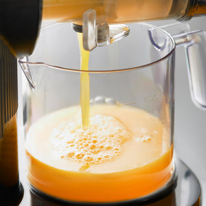 Quest Slow Masticating Juicer - Black | 32119