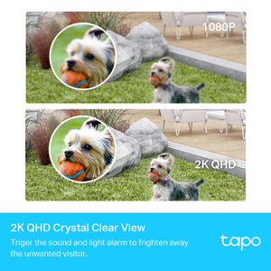 Comparison image showing 1080P versus 2K QHD video quality of TP-Link Tapo security camera system monitoring backyard with two small white and grey dogs playing on grass, demonstrating enhanced clarity of 2K resolution with zoomed circular inset of dog's face