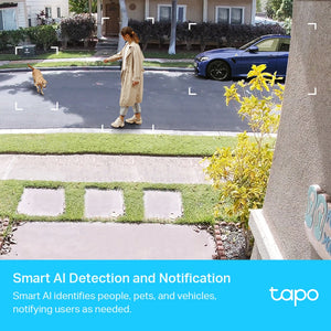 TP-Link Tapo smart security camera system detecting a woman walking a dog on a residential street with a blue car parked nearby, demonstrating AI detection and notification features for people, pets and vehicles