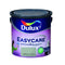 Interior Paint