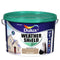 Exterior Paint