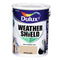 Exterior Paint