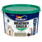 Exterior Paint