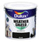 Exterior Paint