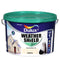 Exterior Paint