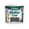 Exterior Paint