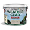 Exterior Paint