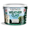 Exterior Paint