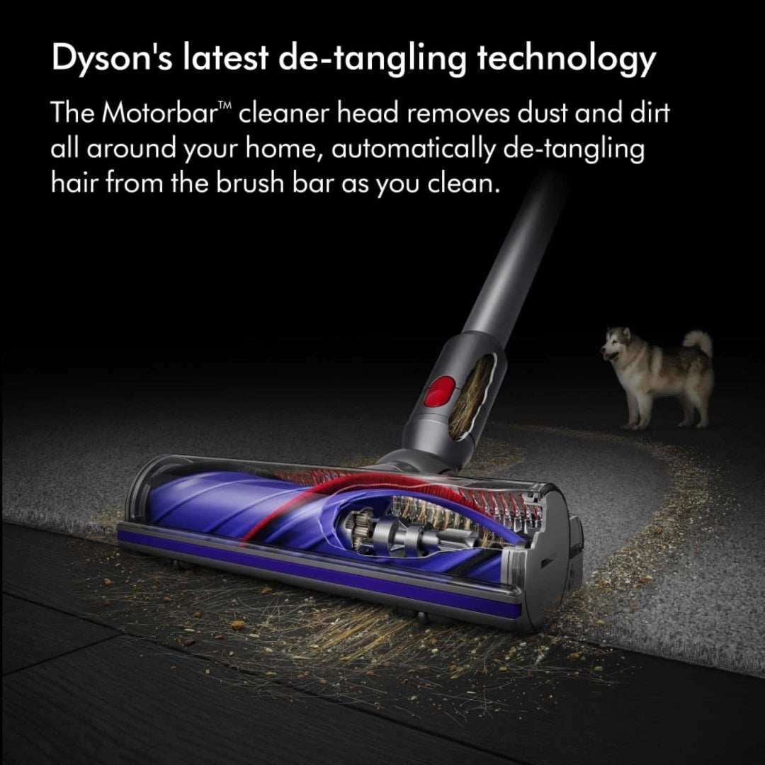 Dyson Motorbar cleaner head with automatic de-tangling technology shown in blue and red colorway on dark floor with pet hair, featuring internal motor mechanism visible in cutaway view, with white dog in background