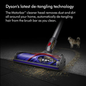 Dyson Motorbar cleaner head with automatic de-tangling technology shown in blue and red colorway on dark floor with pet hair, featuring internal motor mechanism visible in cutaway view, with white dog in background