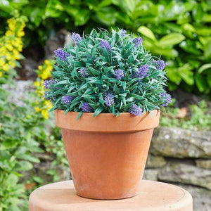 Topiary Lavender Ball - 30cm | 260683