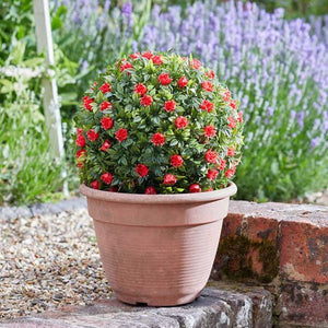 Topiary Red Rose Ball - 30cm | 260687