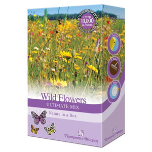 Thompson and Morgan Wild Flowers  - Ultimate Mix | TB192303