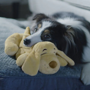JML Huggie Pup Golden Pet Toy | A002080