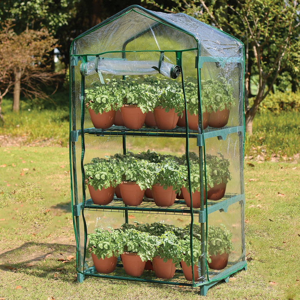 Proplus Sprouting 3 Tier Greenhouse with green metal frame and clear plastic cover containing terracotta pots of green plants arranged on three shelves in a garden setting