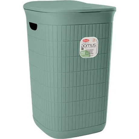 Domus Laundry Hamper Basket with Lid 50 Litre - Green Tea | 55470