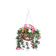 Smart Garden Regal Hanging Basket with pink and white flowering plants cascading from brown wicker basket suspended by silver chain