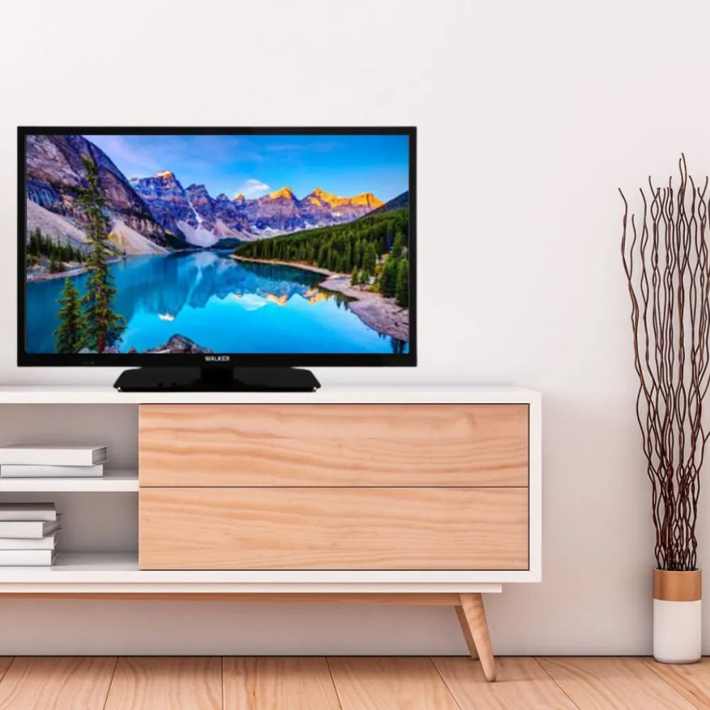 Walker 24 Inch HD TV with Satellite - Black | WPT24241SAT