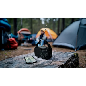 Philips Emergency Portable FM / AM Radio with Torch and Solar Pane and Hand Crank l -  TAR1609/00