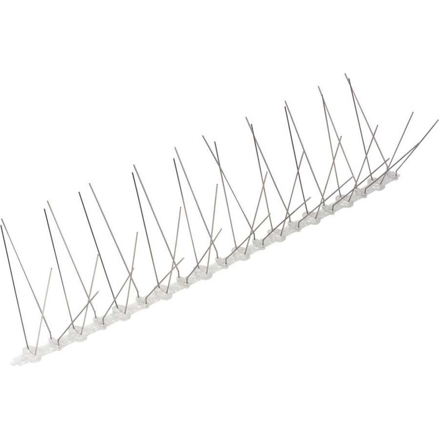 Professional stainless steel bird spikes with flexible wire prongs mounted on a gray polyurethane base strip, shown in a row against a white background