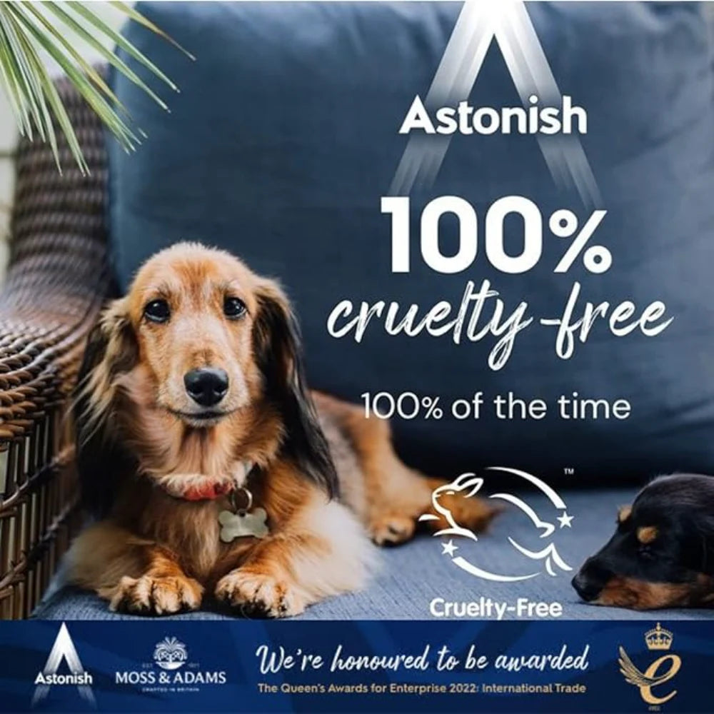 Astonish Oxy Active Non Bio Stain Remover 625g | C1405