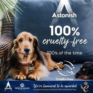 Astonish Oxy Active Non Bio Stain Remover 625g | C1405