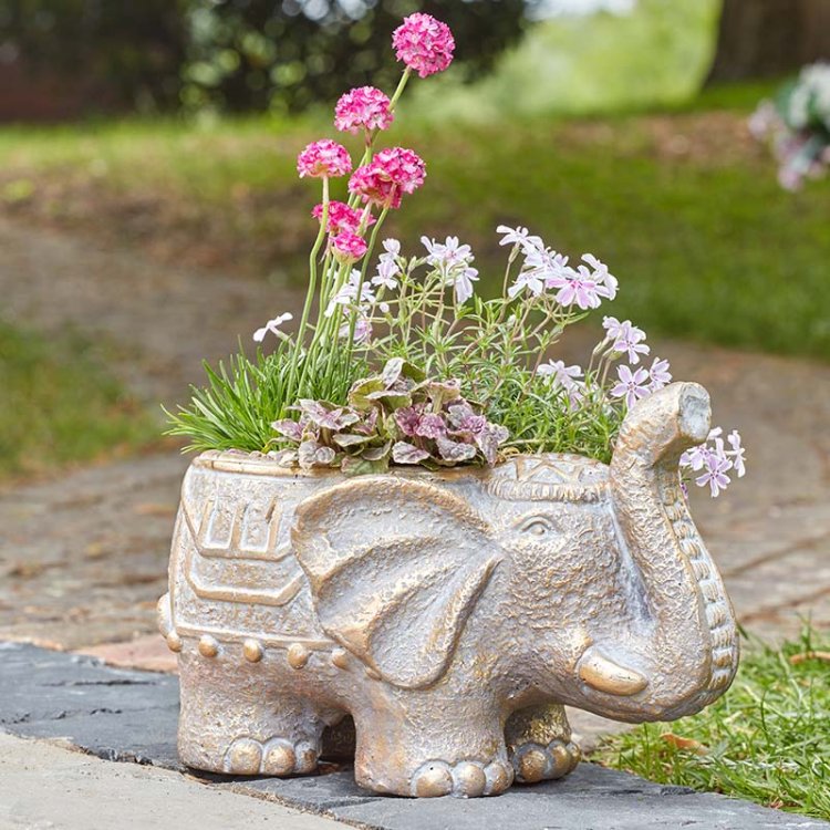 Smart Garden Elephant Planter | 5071052