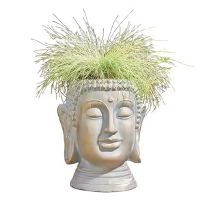 A decorative Buddha head planter with a silver-toned face and spiky pale green ornamental grass growing from the top, shown on a plain white background.