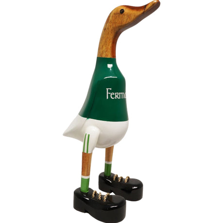 Lucky Ducks County Fermanagh | BR22051-095