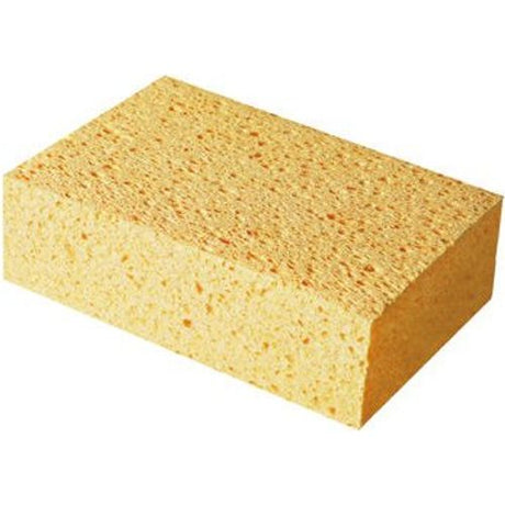 Bihui Cellulose Sponge 165mm x 110mm x 50mm | BHCFCS165