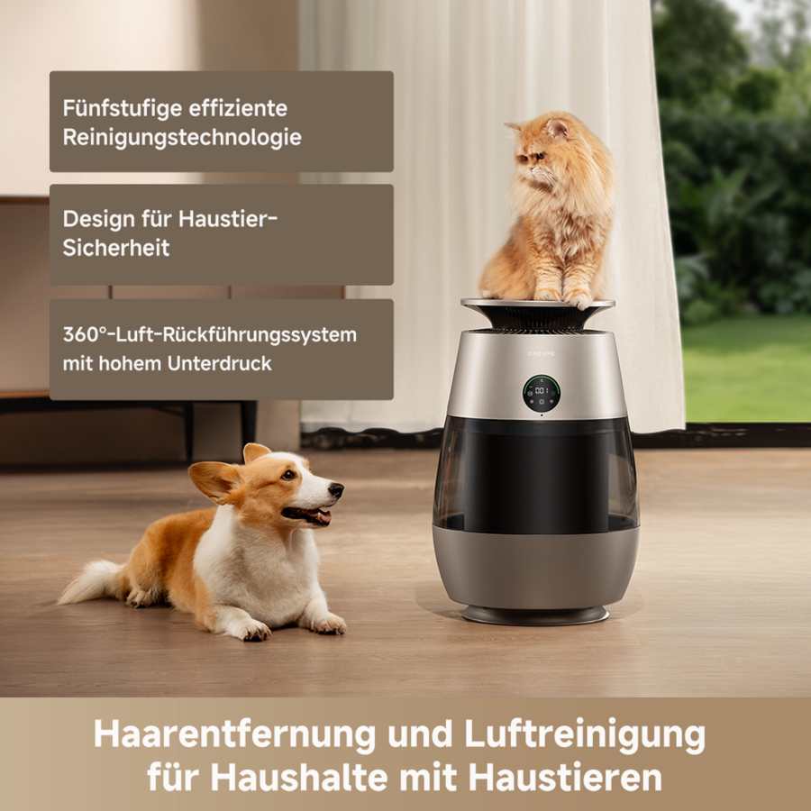 Dreame AP10 Pet Air Purifier | CVF61A