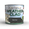 Exterior Paint