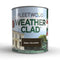 Exterior Paint