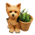 Tan resin Yorkshire Terrier dog garden planter with woven wicker basket, featuring detailed carved features and green potted succulent plants