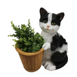 Black and white cat garden planter holding woven wicker basket with green succulent plants, decorative resin figurine with yellow eyes and pink nose on white background