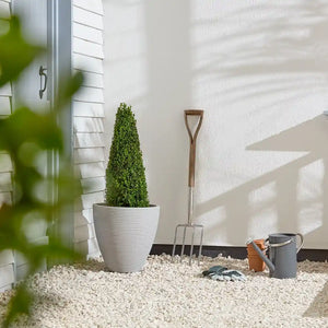 Large stone Valencia garden planter with conical topiary plant, displayed on gravel beside garden tools including fork and watering can against white textured wall