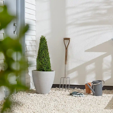Large stone Valencia garden planter with conical topiary plant, displayed on gravel beside garden tools including fork and watering can against white textured wall