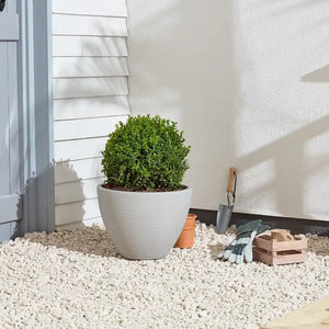 Stone-coloured Strata Valencia garden planter with rounded ribbed texture containing a vibrant green boxwood topiary plant, displayed on white decorative gravel with gardening tools and terracotta pot against a white rendered wall with horizontal cladding